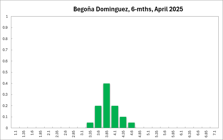 Begoña Dominguez