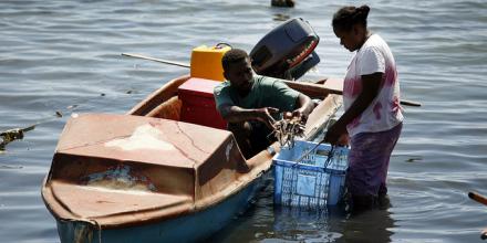 Taking fish to market. Solomon Islands 2007