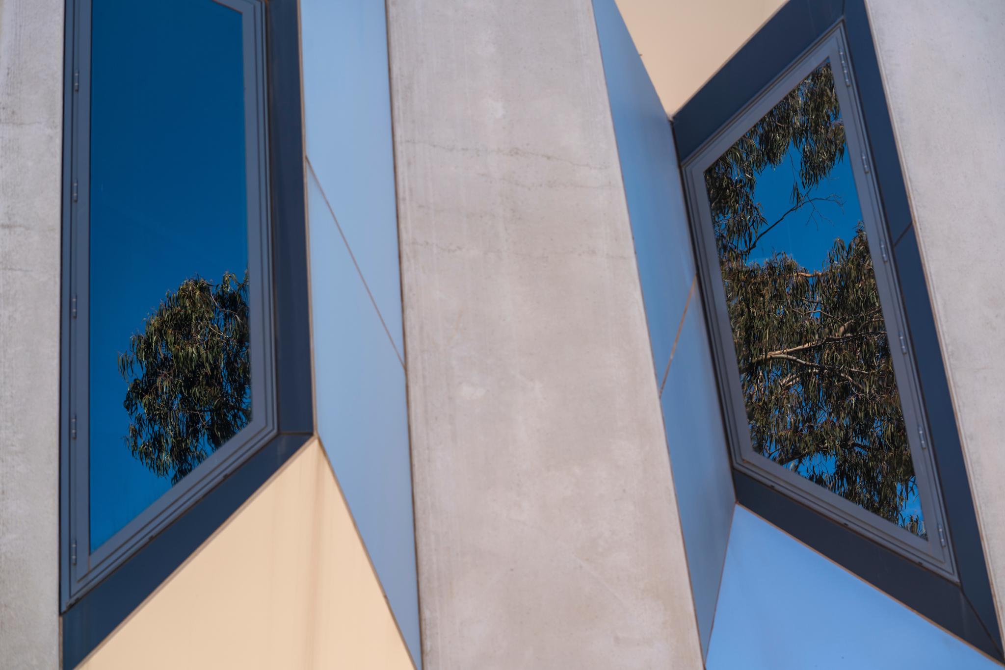 Tree reflected in a industrial window