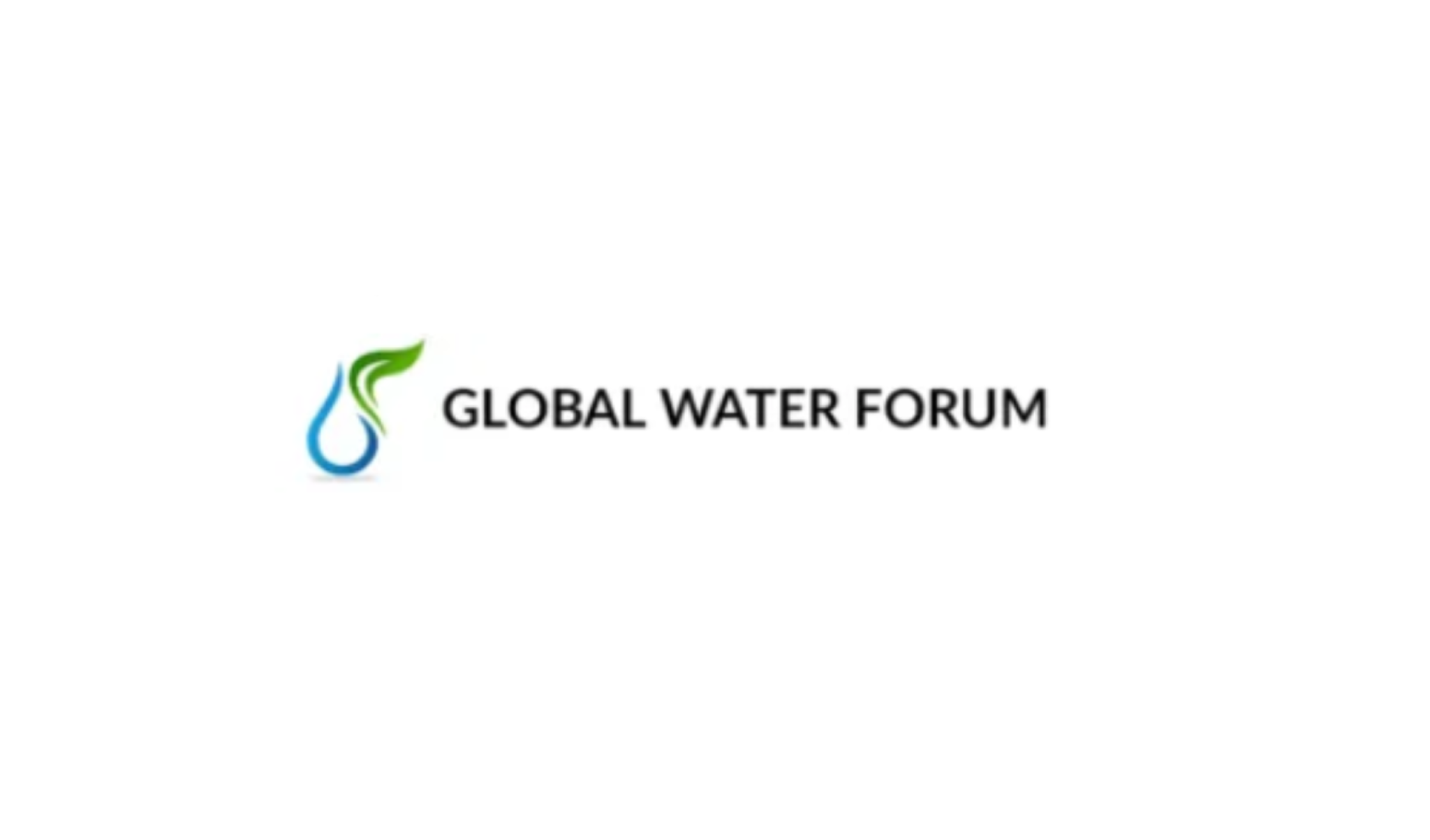 Global Water Forum