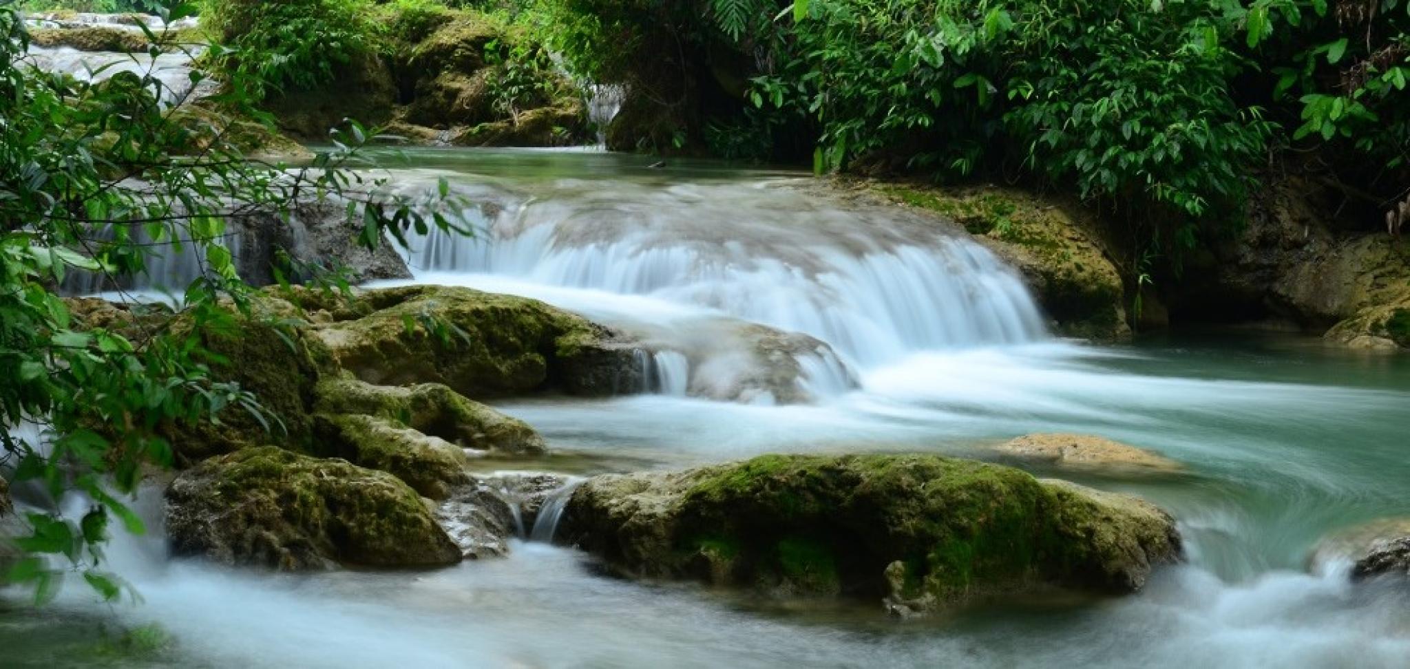 Centre for Water Economics, Environment and Policy running creek photo