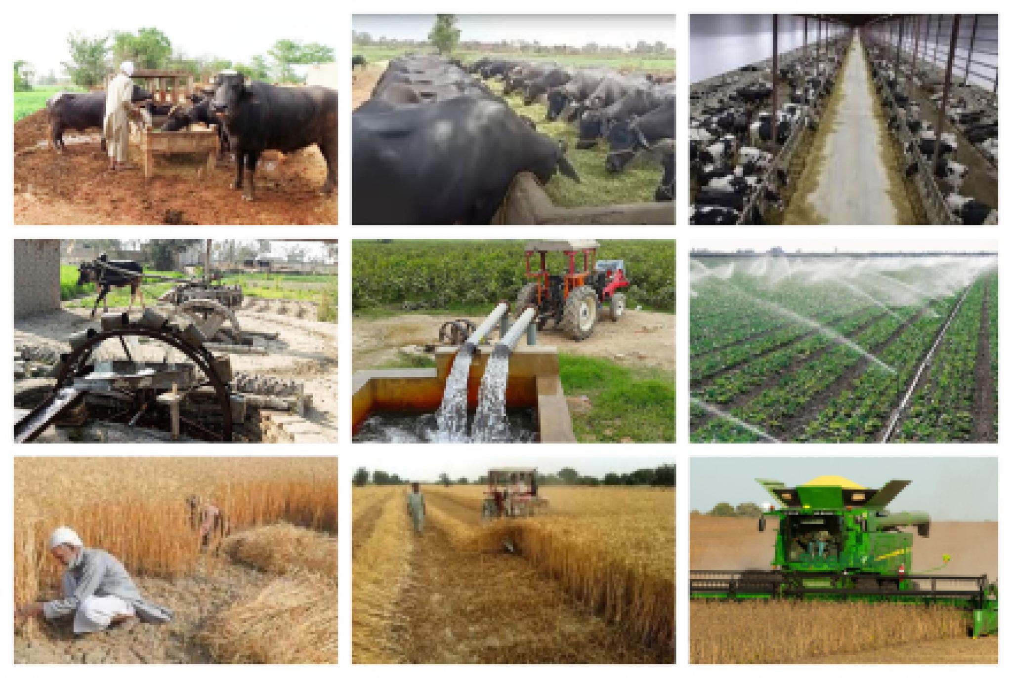 rural transformation