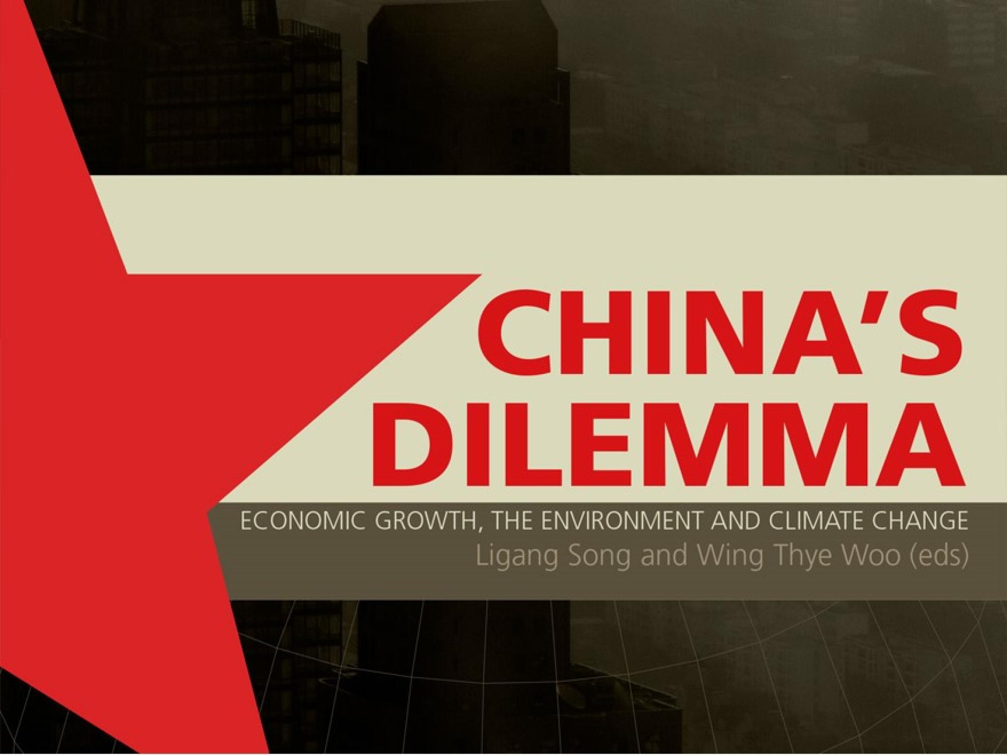China Update 2008 book