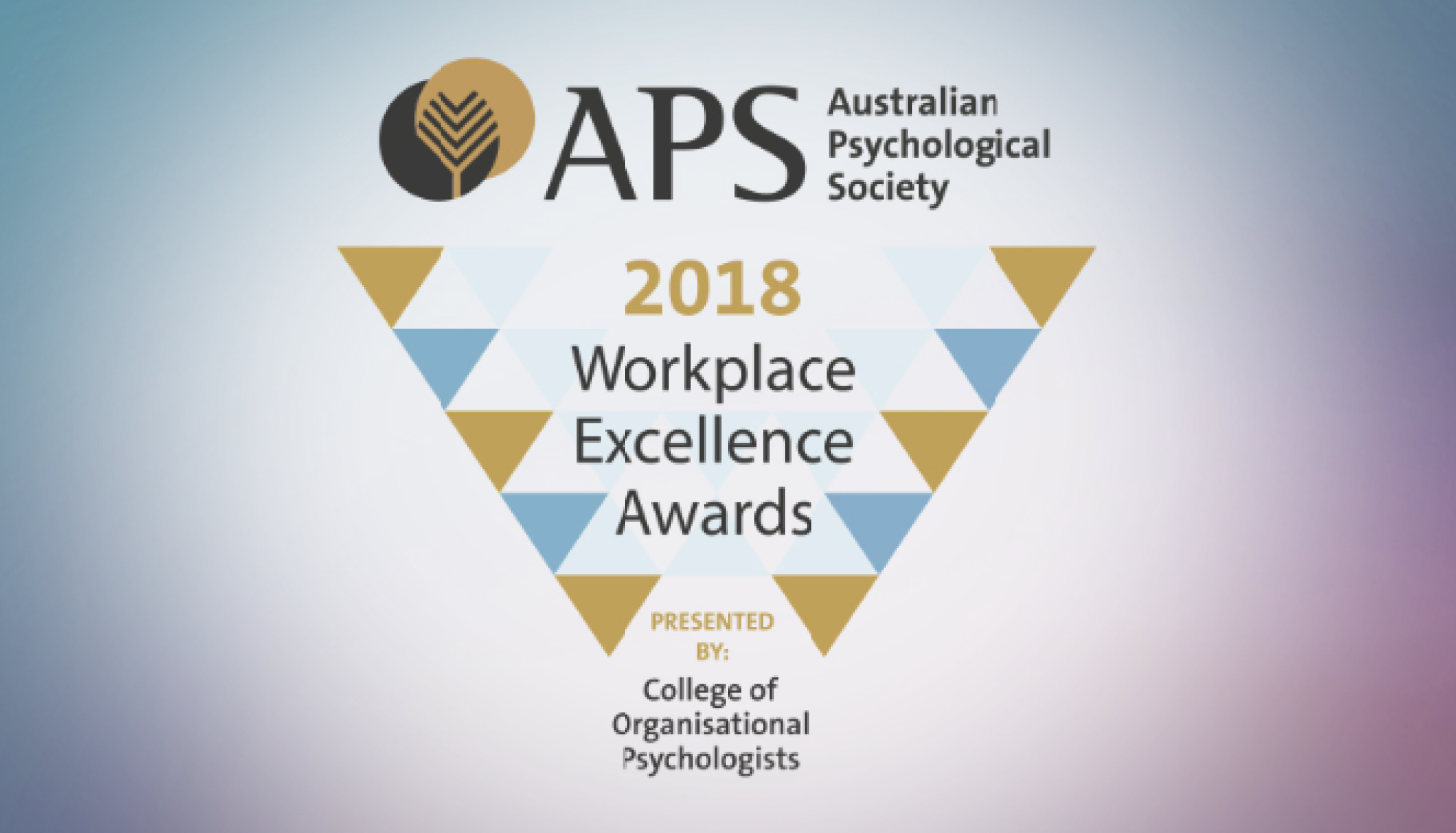 APS Workplace Excellence Awards 2018 winner