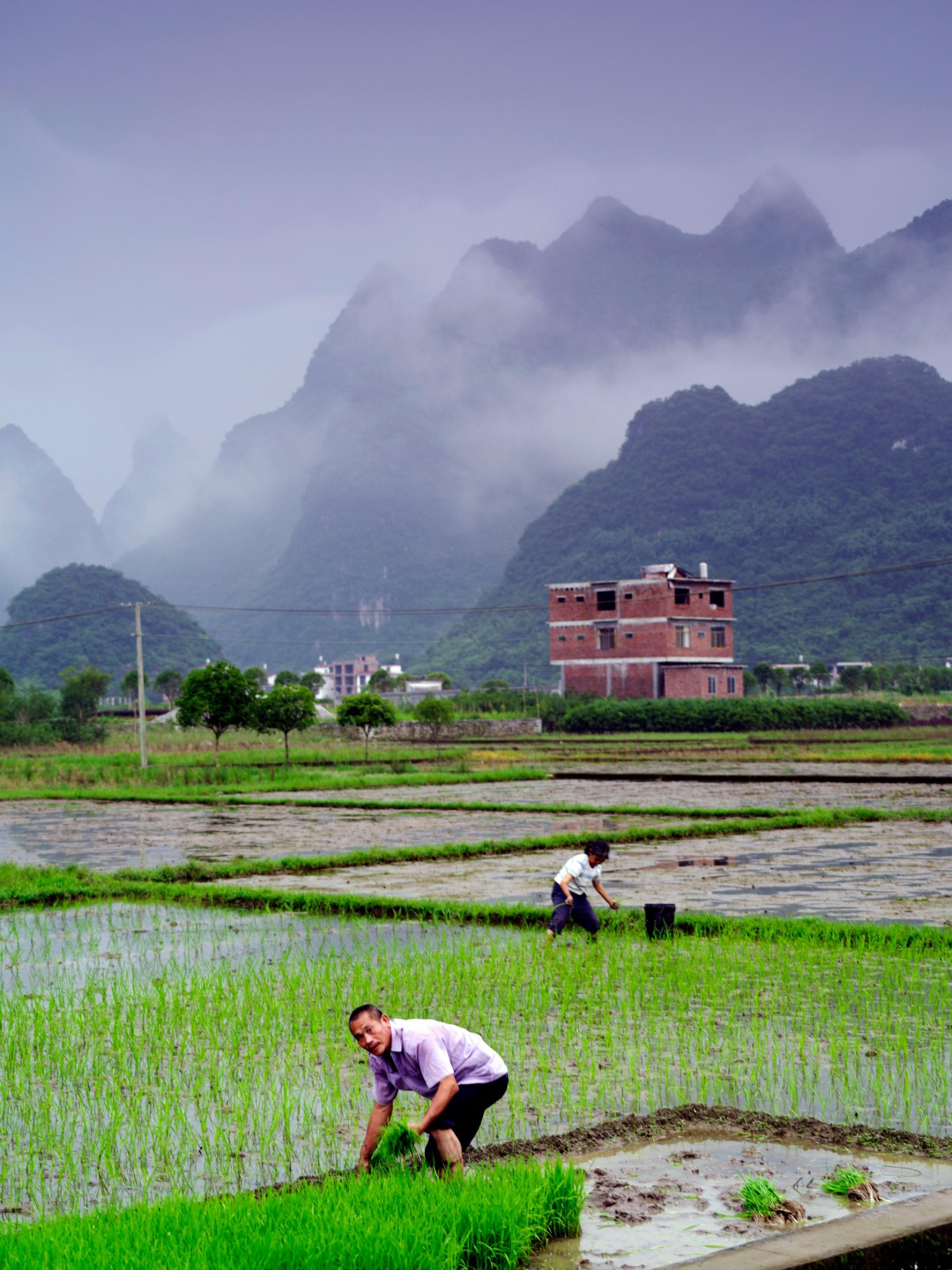 rural China