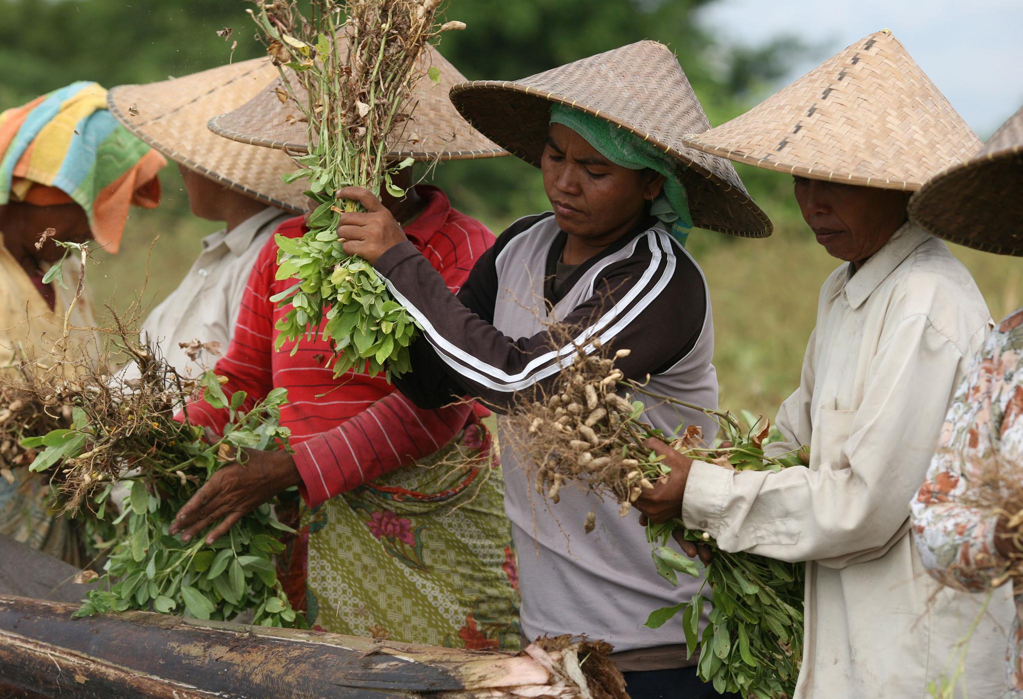 food security