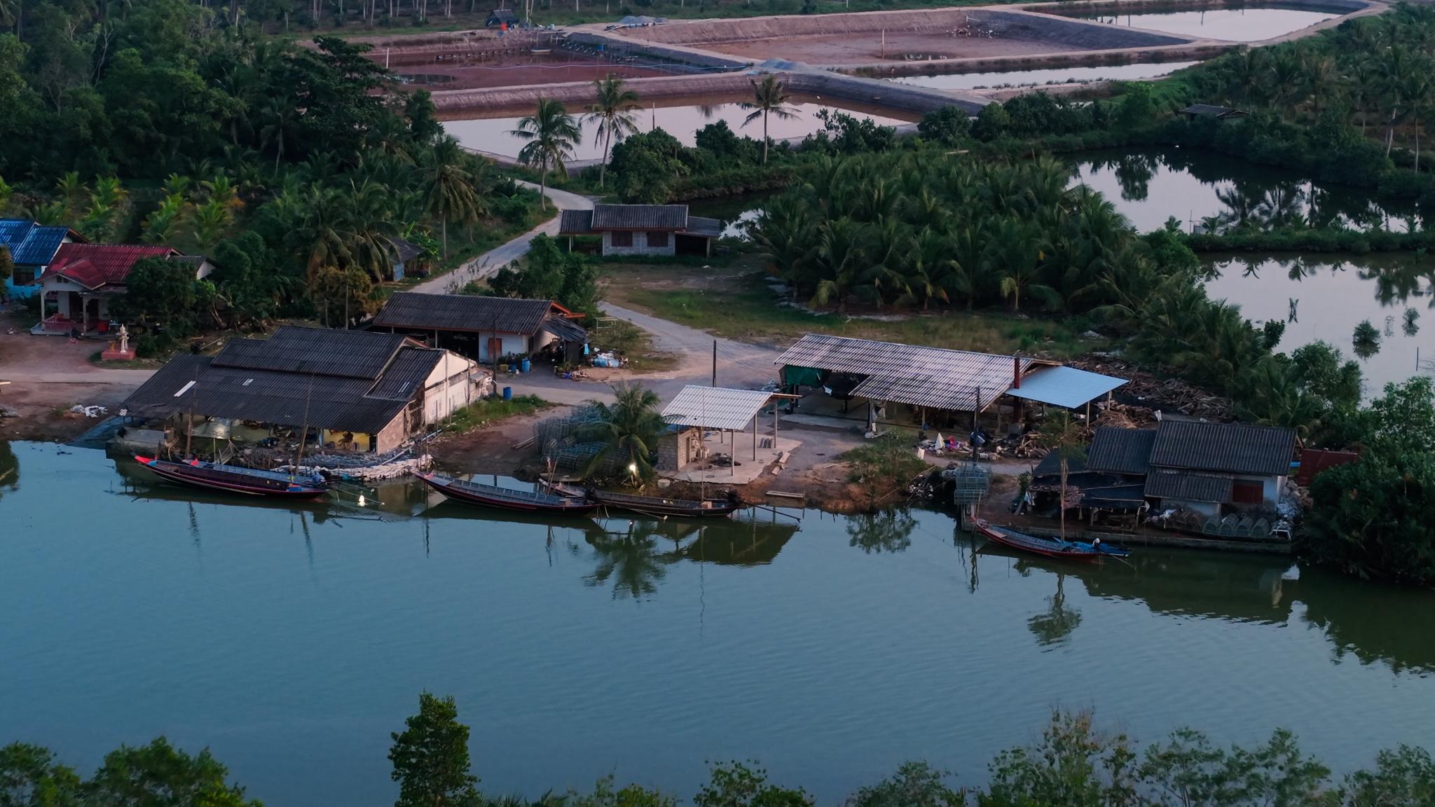 Market in Southeast Asia