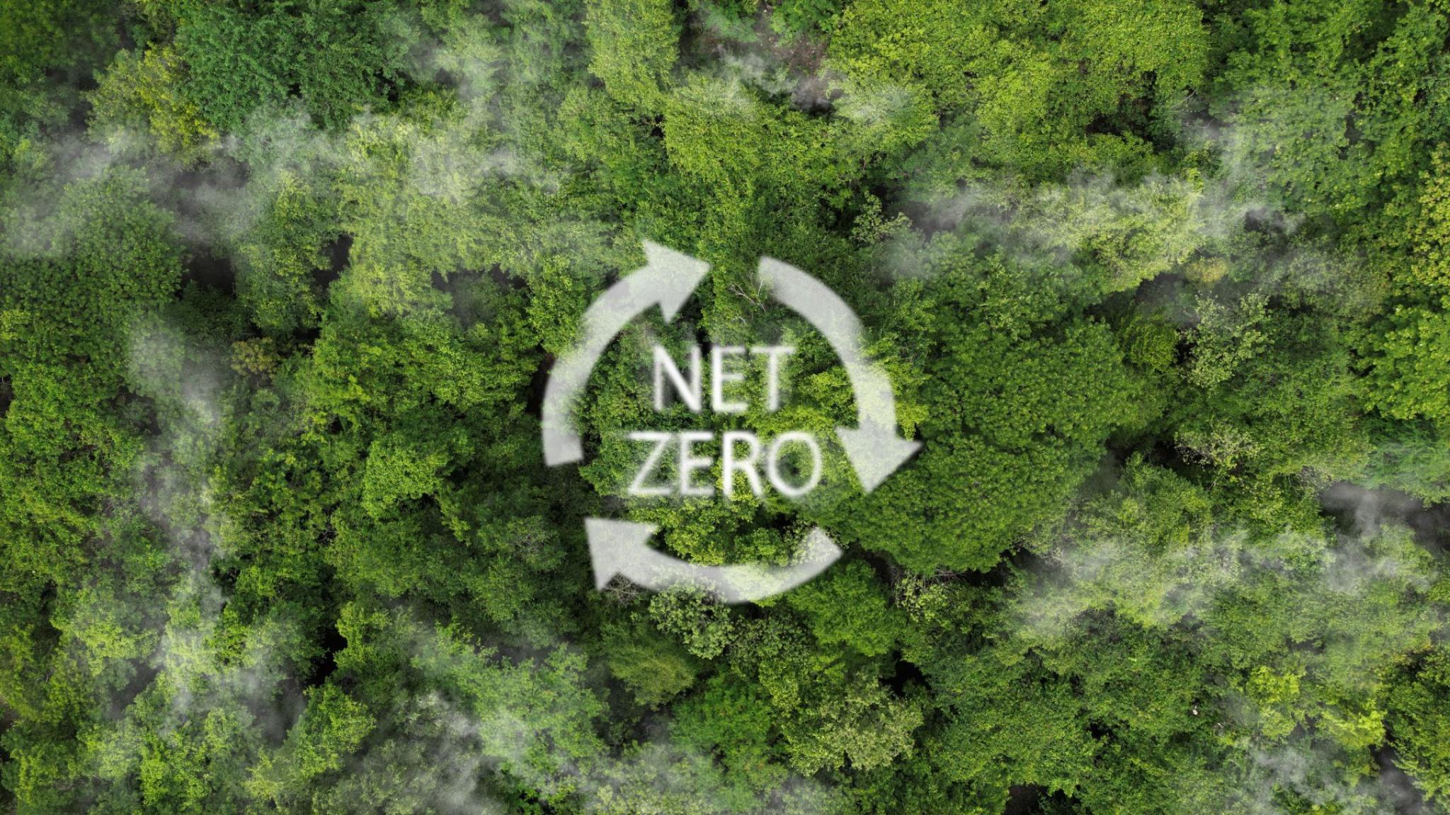 net zero policies