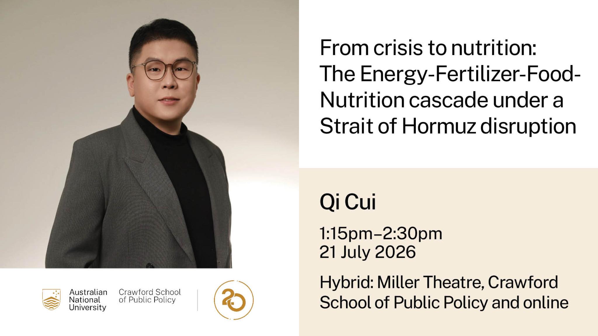 From Crisis to Nutrition: The Energy–Fertilizer–Food–Nutrition Cascade under a Strait of Hormuz Disruption 