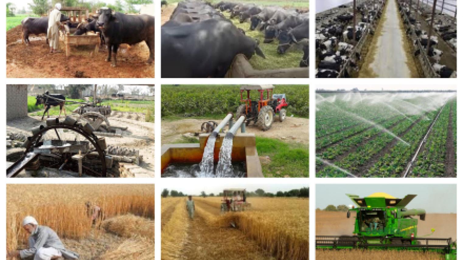 rural transformation
